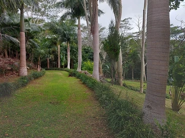 Prime Agricultural Land for Sale in Chamarel