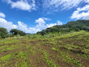 Terrain