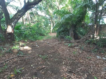 Terrain Commercial