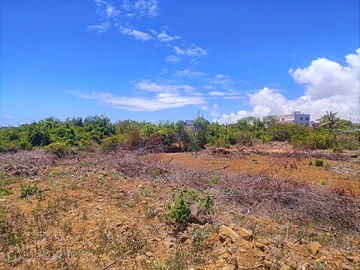 Terrain