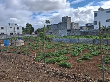 Residential Land