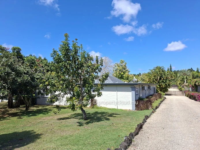 Beautiful Property for Sale on the Edge of Daruty Forest