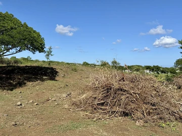 Agricultural Land