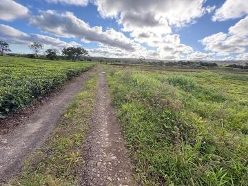 Agricultural Land
