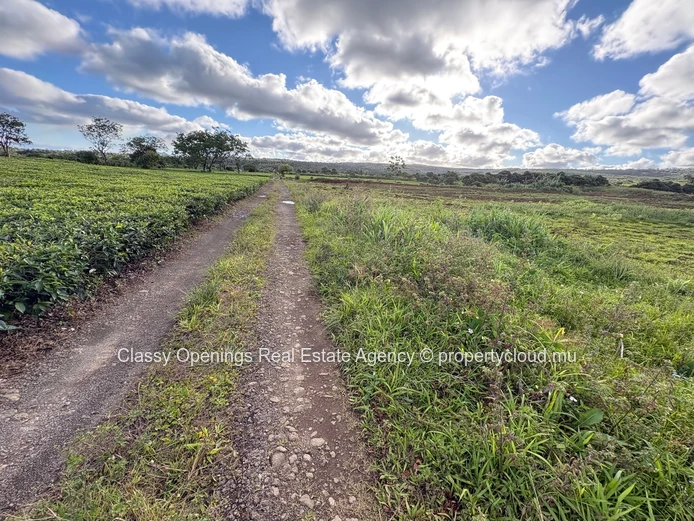 12,268 m² Cultivable Land with Mountain View & Greenhouses