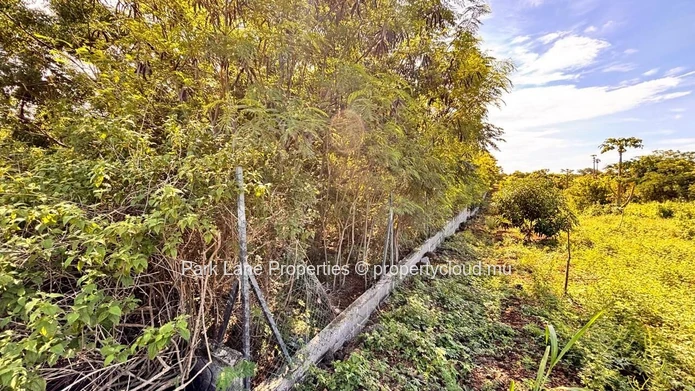 À vendre – Terrain résidentiel de 4 206 m² à Petit Raffray