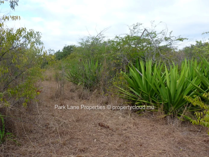 Large plot of land with great developing potential!
