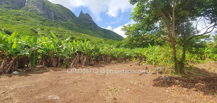 26.29 perches Freehold Residential Land for Sale at La Laura Peter Both