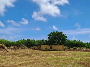 Land