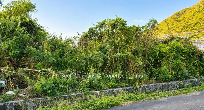 Escape To Coastal Paradise_ La Preneuse Ave Des Lataniers