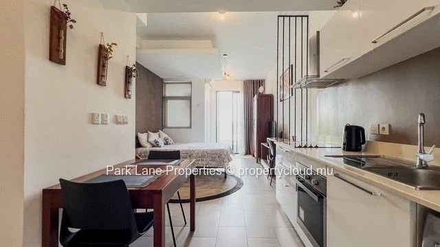 Modern & elegant studio in the heart of Ebène – Prime investment opportunity