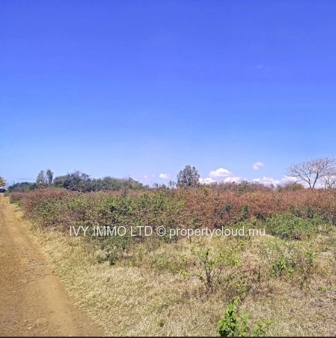 Terrain résidentiel de premier choix à vendre – Pereybère (Flamant Lane)