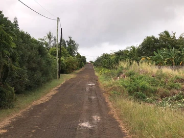 Agricultural Land