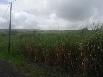 Terrain
