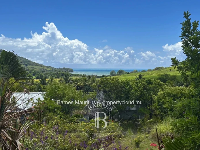 ANSE JONCHÉE - Terrain résidentiel et agricole - 46244 m2