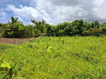 Terrain Agricole