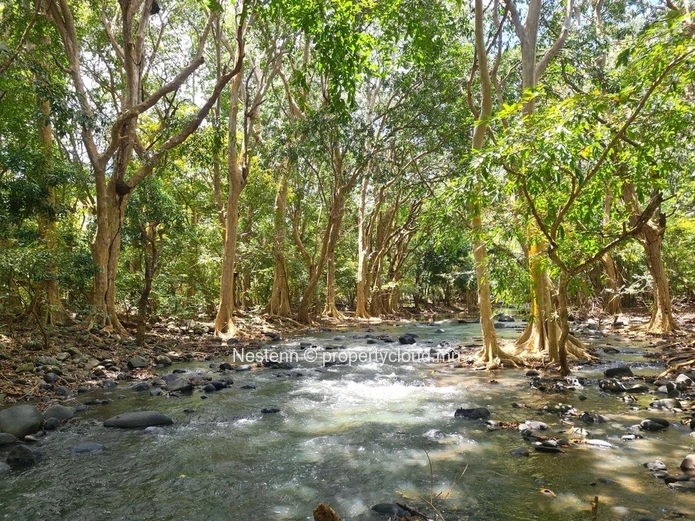 Superb residential plot of 29,959 m2 in a secure domain