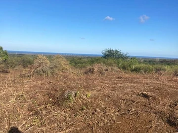 Terrain