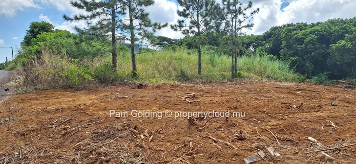 Prime Residential Land for Sale in Plaine D’hermitage – Ideal Investment Opportunity