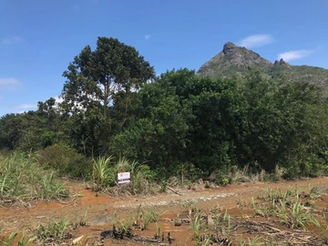 Agricultural Land