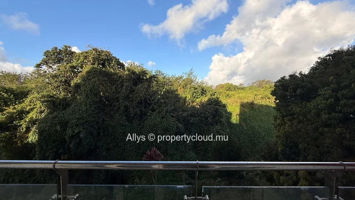 A Rare one Bedroom Opportunity 
