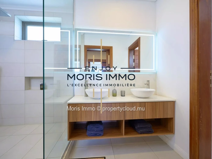 Luxury apartment in Pointe aux Canonniers