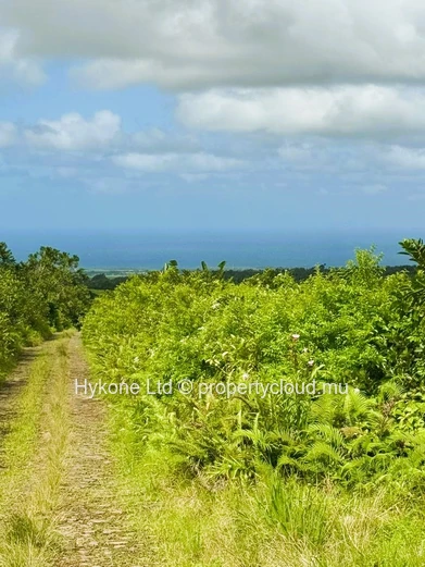 Terrain Agricole En Vente À Bois Cheri