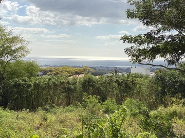 Land