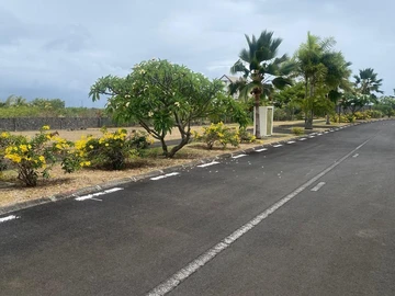 Land
