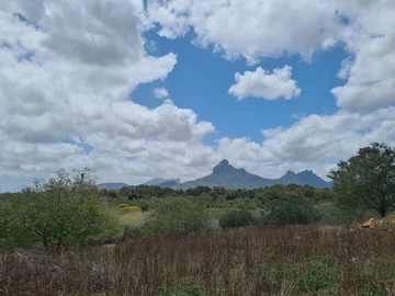Residential Land