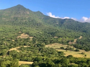 Terrain
