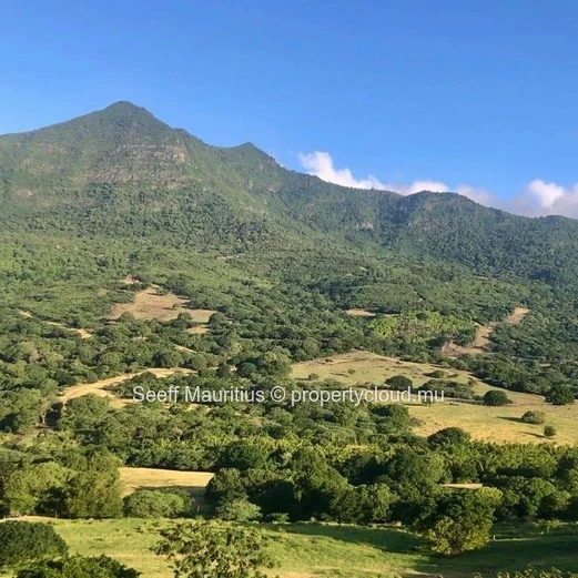 Splendeur sereine : Un vaste terrain avec une vue magnifique