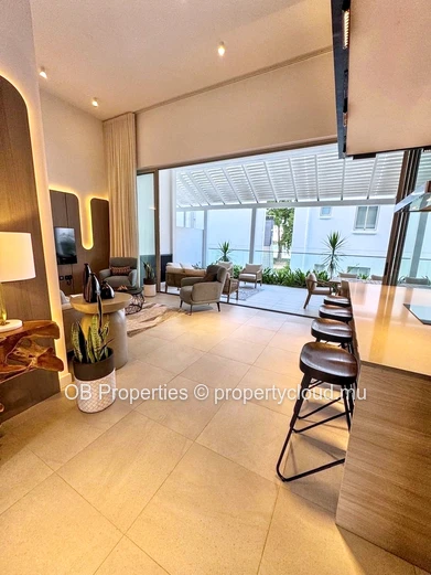 Luxurious beachfront apartment