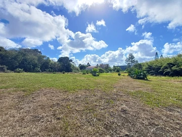 Residential Land
