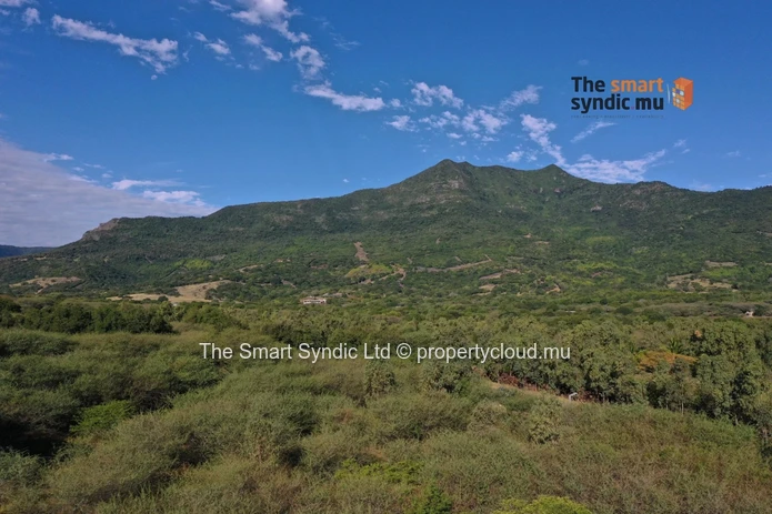 Luxury 4-Bedroom Villas – A Refined Living Experience in the Heart of Nature