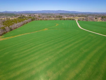 Residential Land