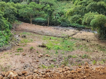 Agricultural Land