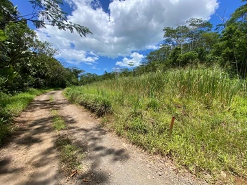 Agricultural Land