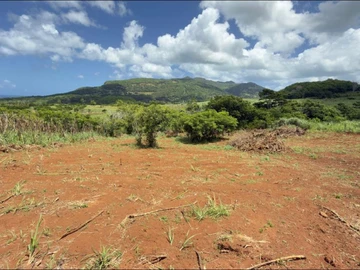 Terrain Agricole