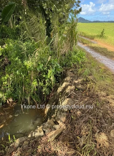 Agricultural Land For Sale In Riche-En-Eau