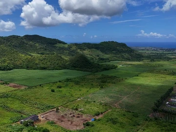 Agricultural Land
