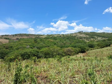 Terrain