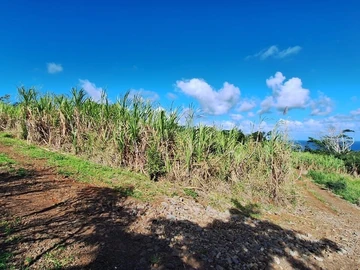 Agricultural Land