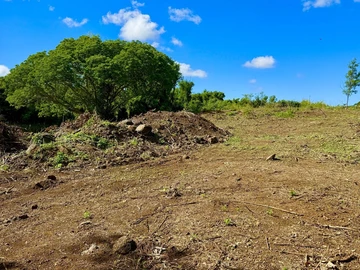 Agricultural Land