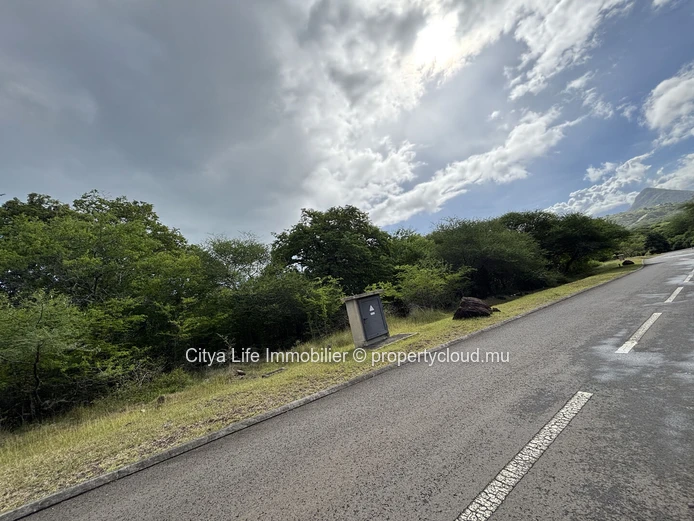 Terrain à vendre — Black River | Domaine de Palmyre | 2183 m² |Rs