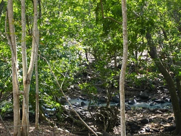 Terrain