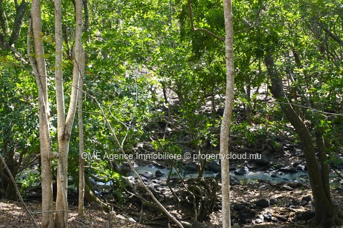 3,311 m² Freehold Land | Mountain Views and River Access