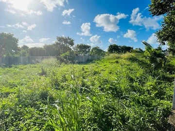 Land