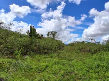 Terrain Agricole