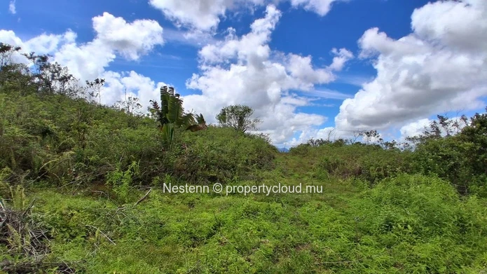 A vast plot of land, thousands of possibilities — 36,332 m² in L'Espérance